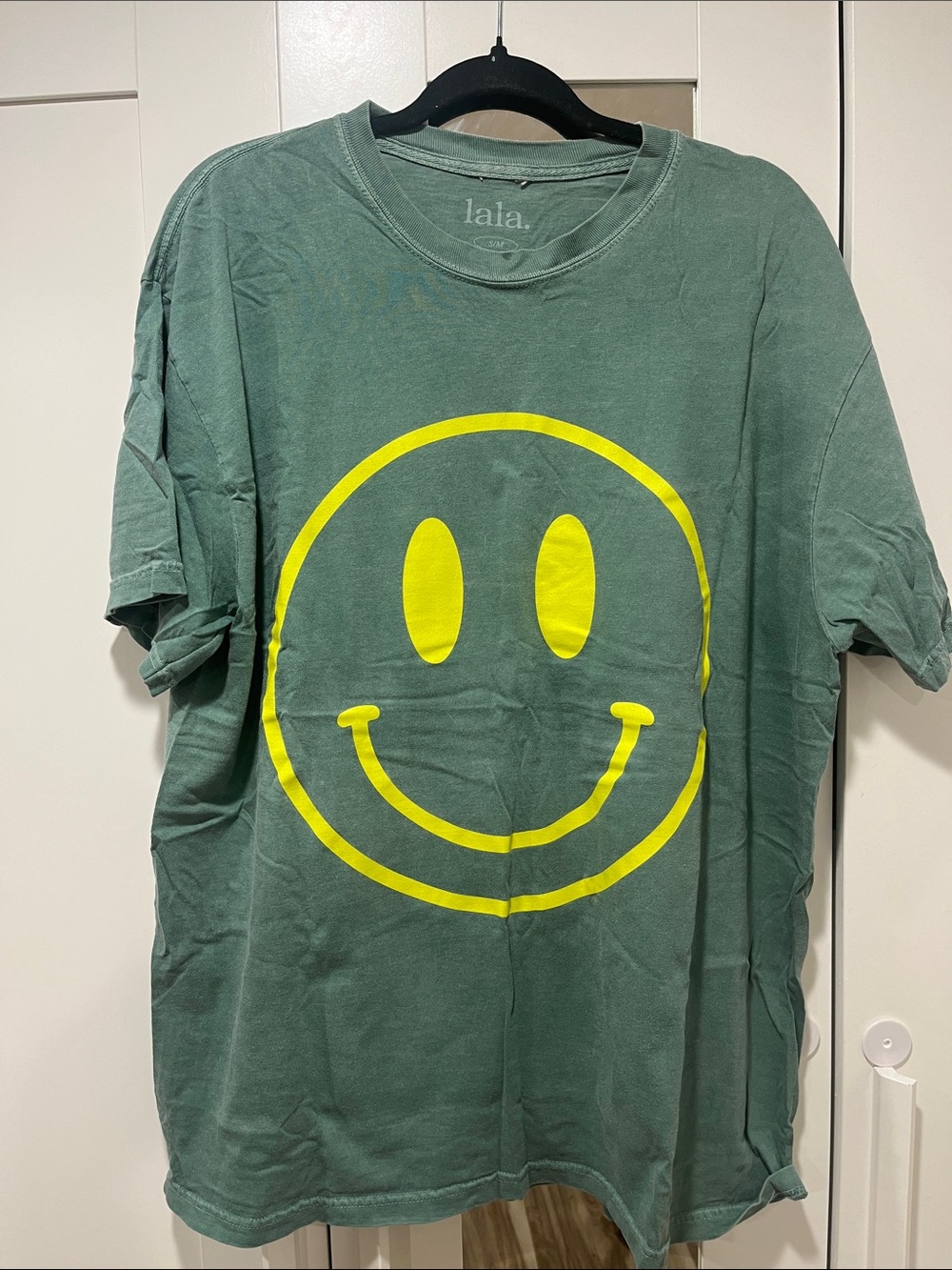 Dressed in Lala The World Needs Your Magic Oversized Tee in Sage + Neon - Picture 2 of 4